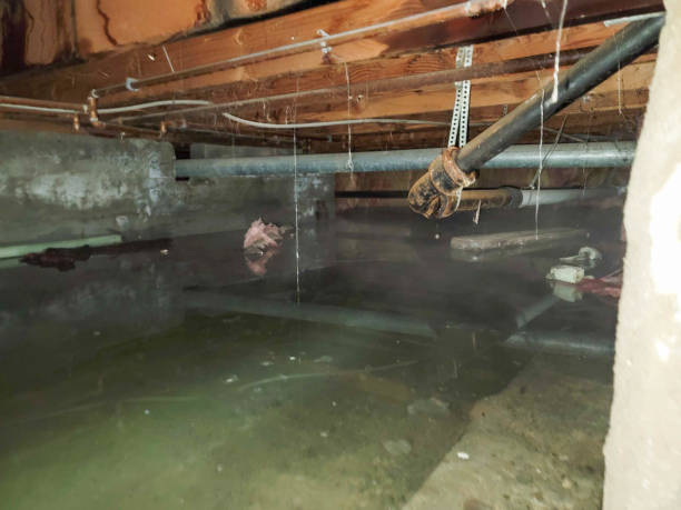 Professional Water damage restoration in West St Paul, MN