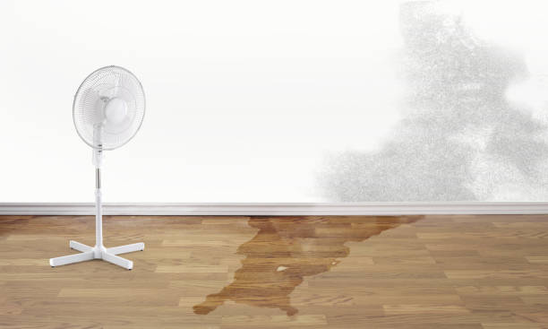 Best Ceiling water damage repair  in West St Paul, MN