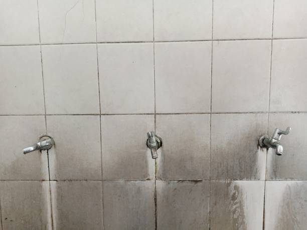 Best Sewage cleanup and water damage restoration  in West St Paul, MN