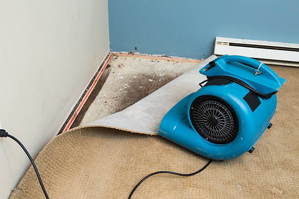 Best Basement water damage restoration  in West St Paul, MN